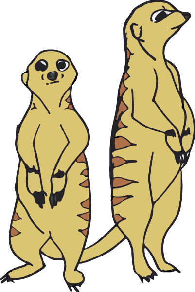 erdmaennchen