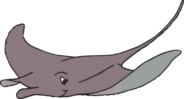 manta